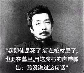 鲁迅最新爆料新闻视频下载,揭秘历史真相，引发社会热议